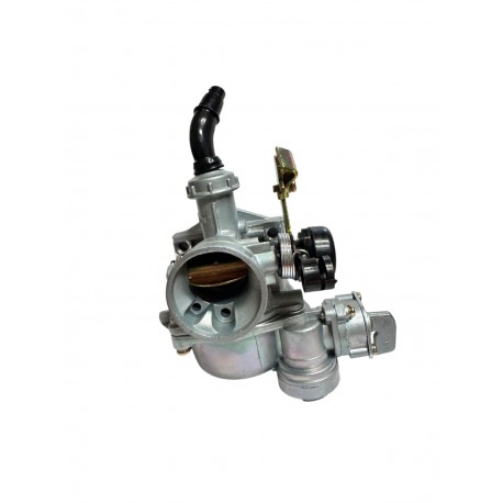 CARBURADOR PZ19